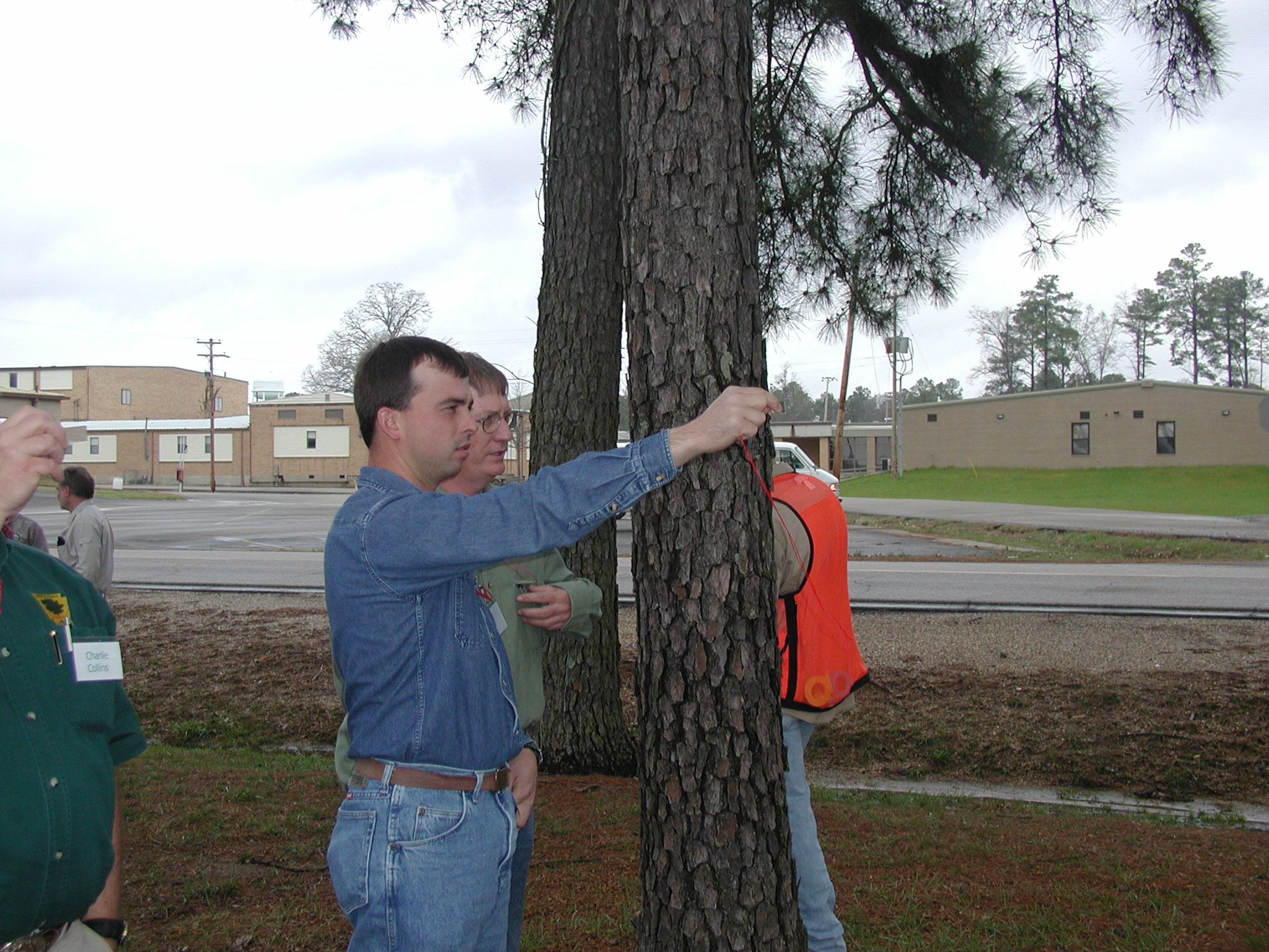 Arkansas Continuing Forestry Education (CFE) for Registered Foresters
